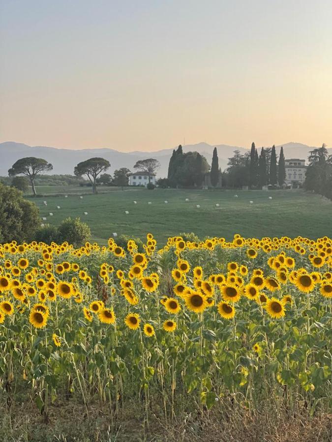 Casa Le Rondini Toscana Bucine Kültér fotó